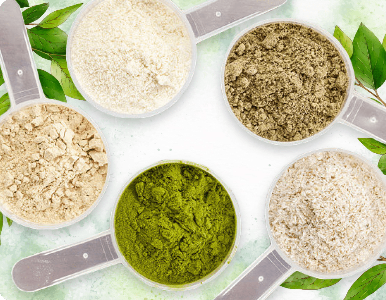 ProDentim ingredients layout showing live probiotic cultures, peppermint leaf, inulin, and strawberry malic acid
